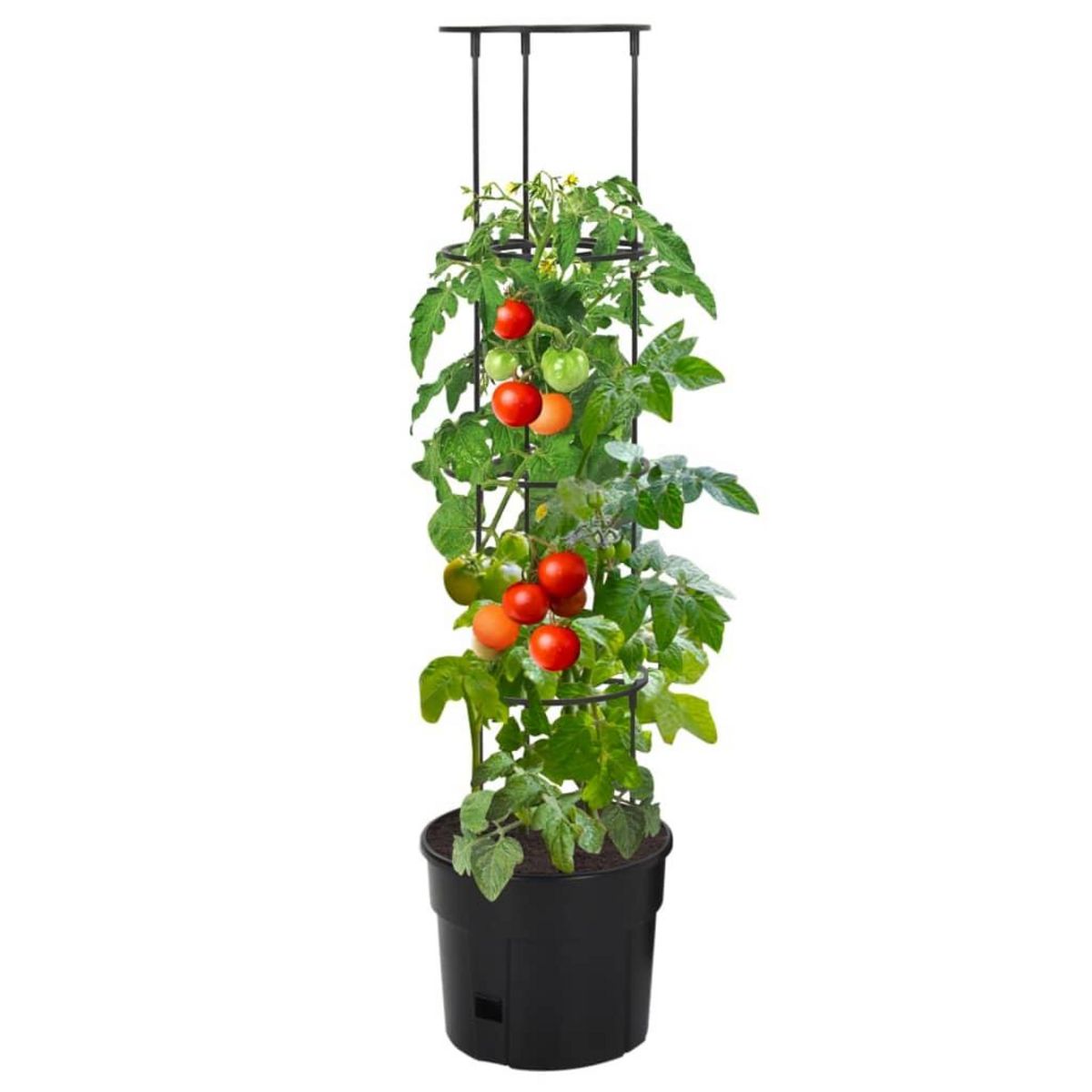 VIDAXL Jardiniere a tomate Anthracite Ø29,5x115 cm Polypropylene