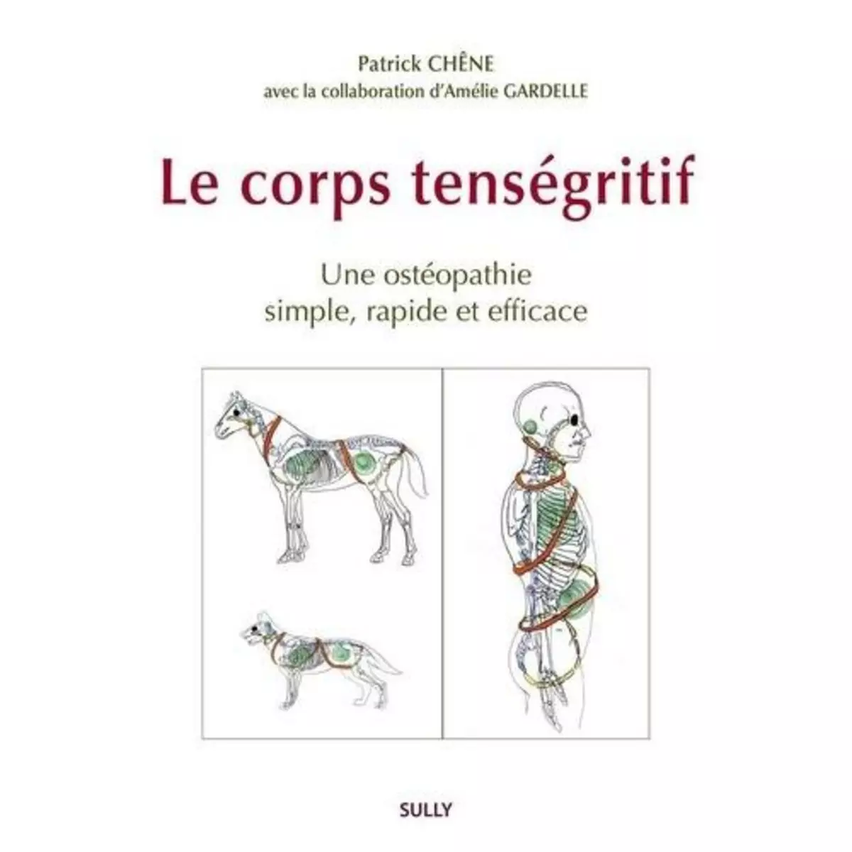  LE CORPS TENSEGRITIF. UN OSTEOPATHIE EFFICACE, RAPIDE, SIMPLE, Chêne Patrick