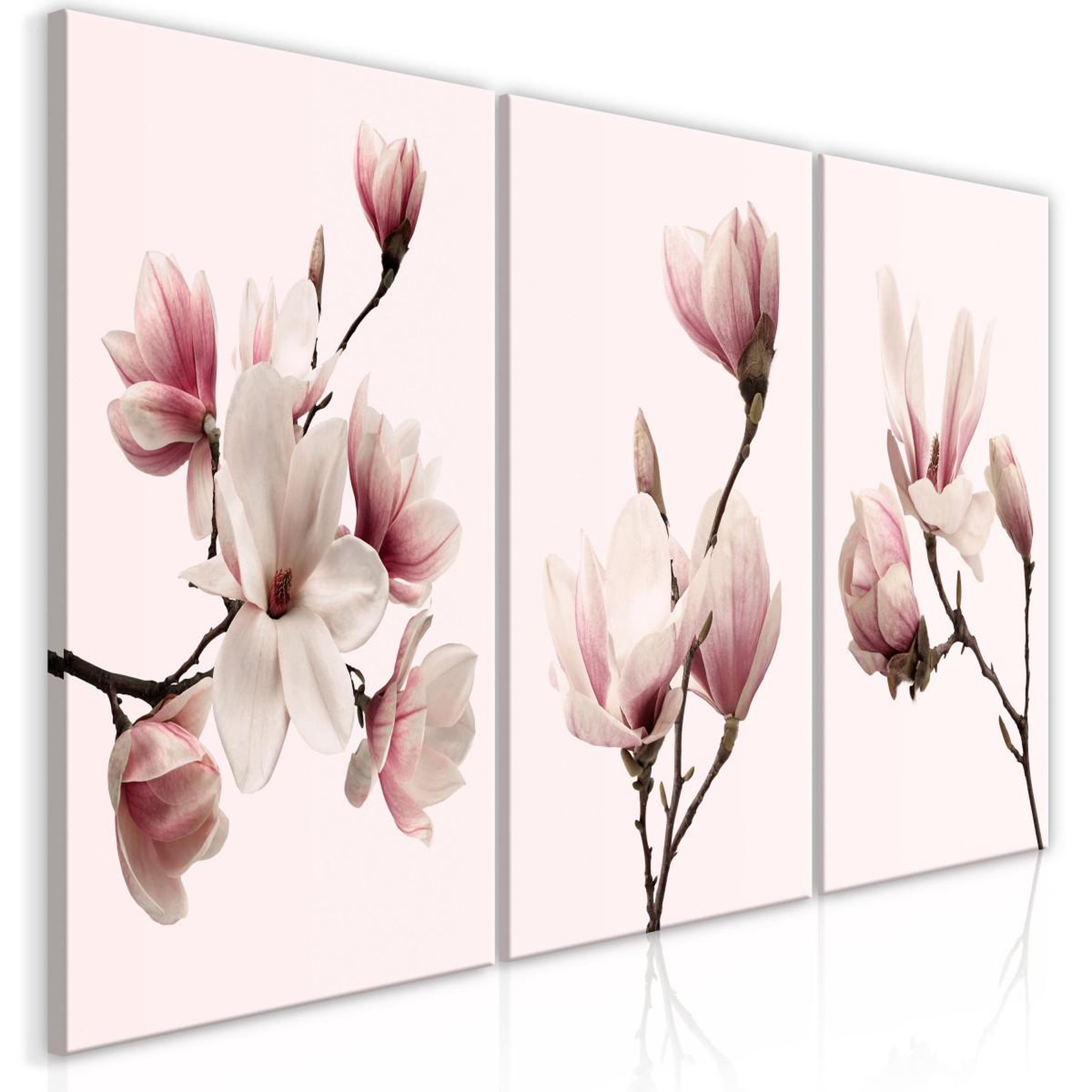 Paris Prix Tableau imprimé  spring magnolias 3 panneaux  60x120cm