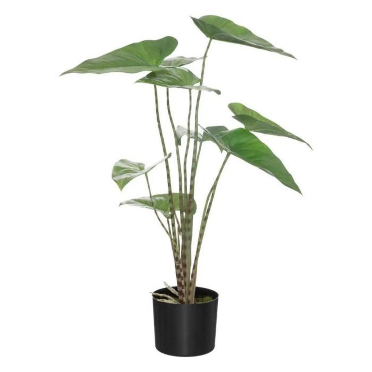 ATMOSPHERA Plante Artificielle en Pot  Zebrina  75cm Noir & Vert