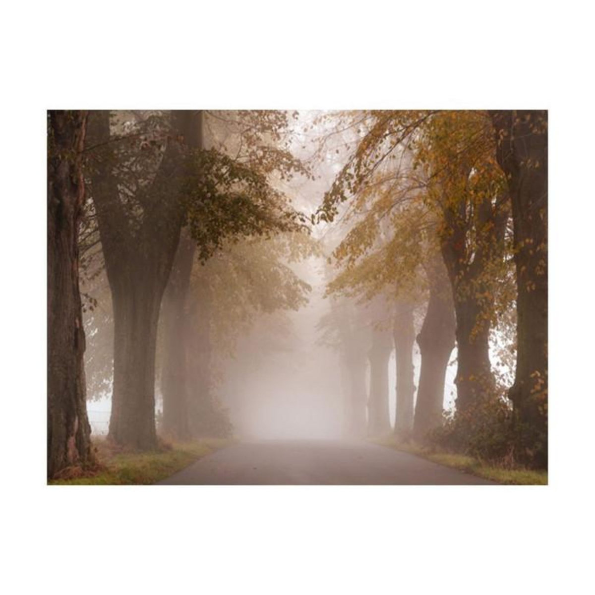 Paris Prix Papier Peint  Impasse