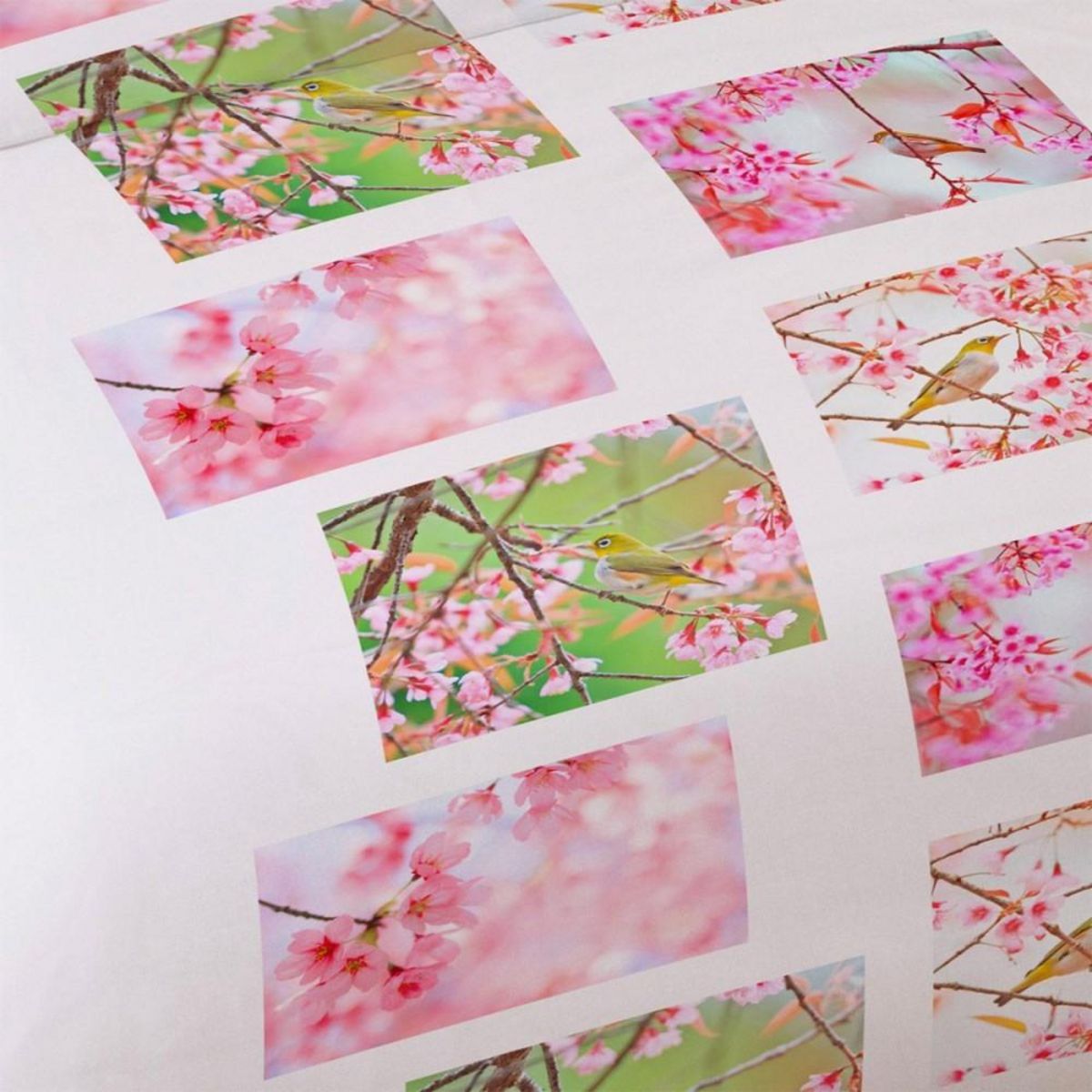 Dourev Housse de couette 240x220 Oiseau + 2 taies