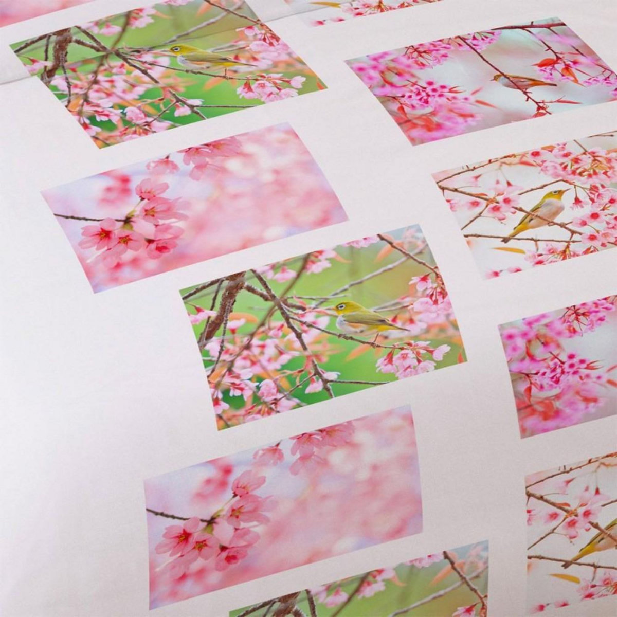 Dourev Housse de couette 240x220 Oiseau + 2 taies