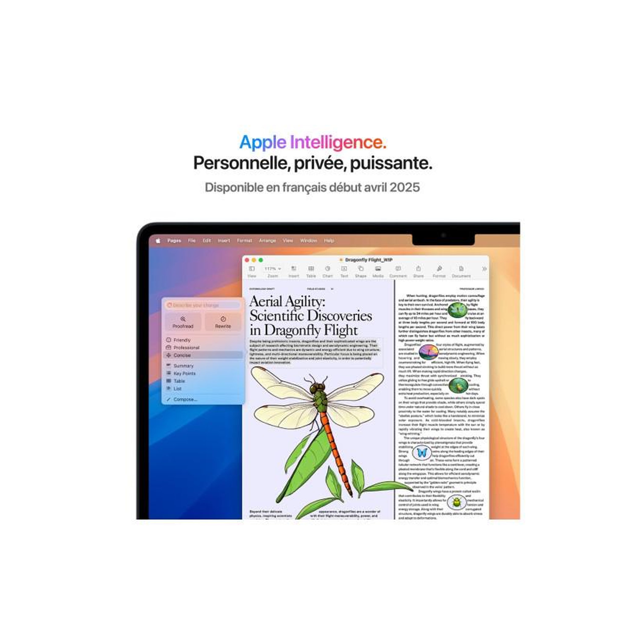 Voir la diapositive 6 : APPLE Ordinateur Apple Air 15  Puce M4 CPU 10 / GPU 10 coeurs Mémoire RAM 16Go Stockage 256Go SSD Retina Minuit