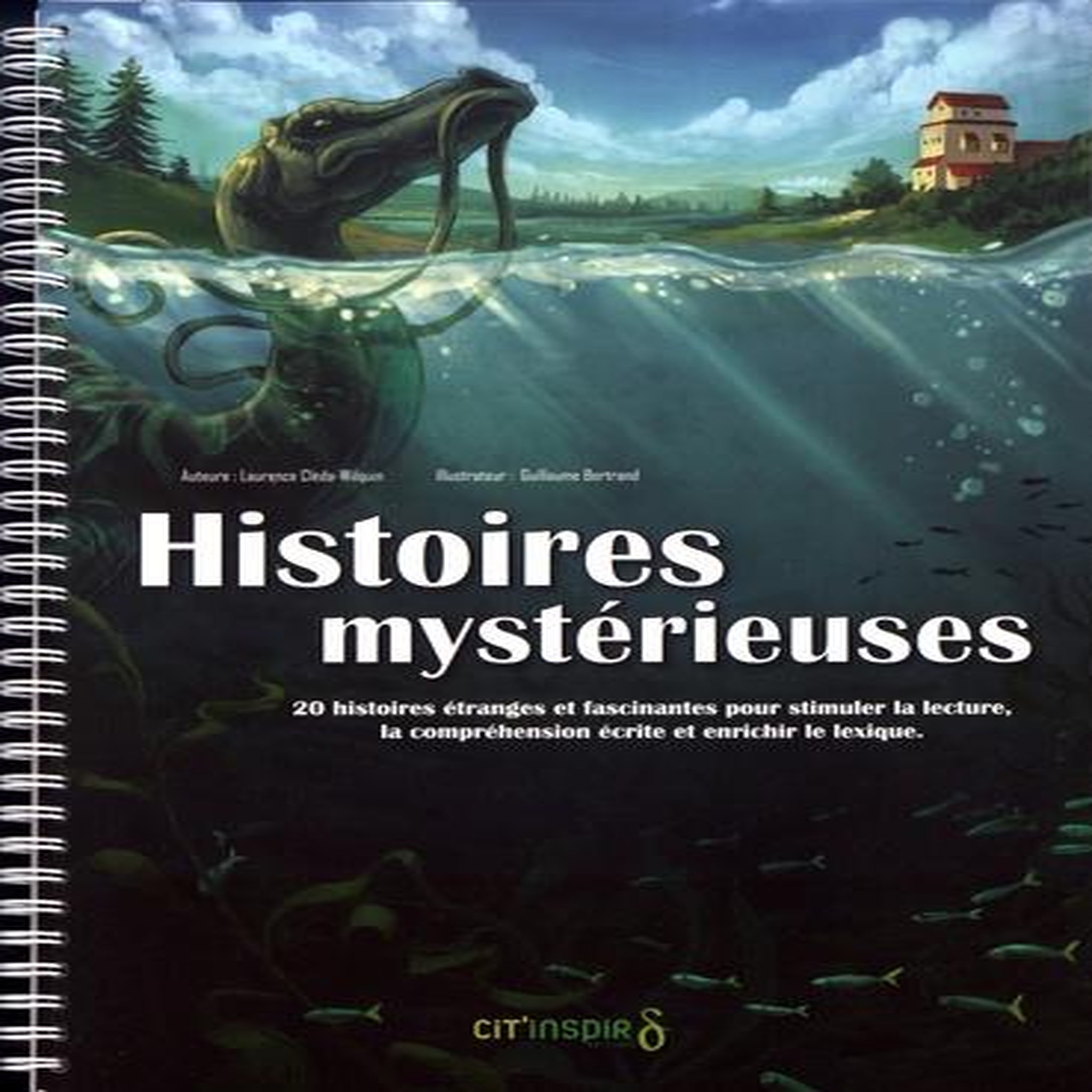 HISTOIRES MYSTERIEUSES. 20 HISTOIRES ETRANGES ET FASCINANTES POUR STIMULER LA LECTURE, LA COMPREHENSION ECRITE ET ENRICHIR LE LEXIQUE, Cléda-Wilquin Laurence