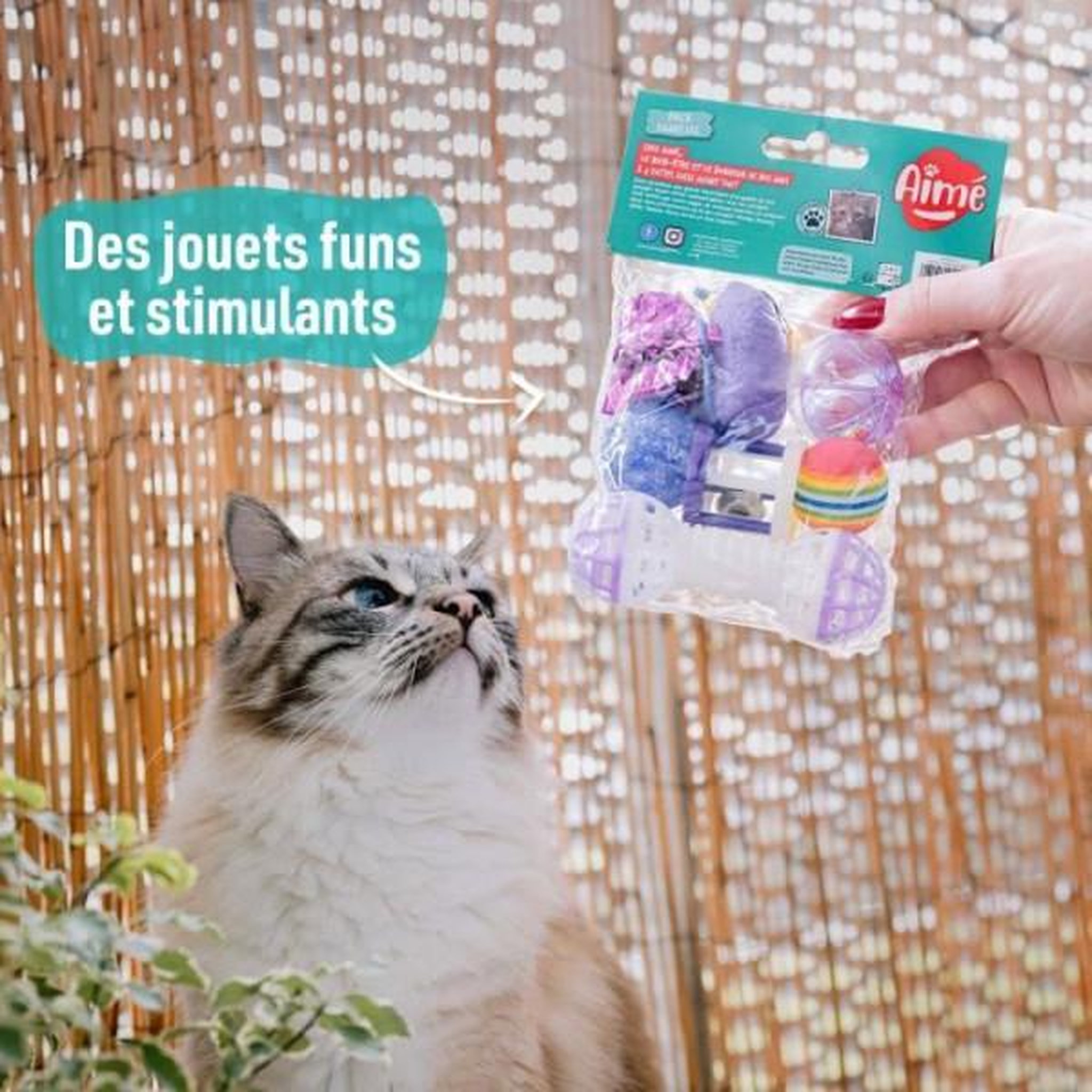 Voir la diapositive 3 : MARKET24 7 jouets pour Chat - AIMÉ
