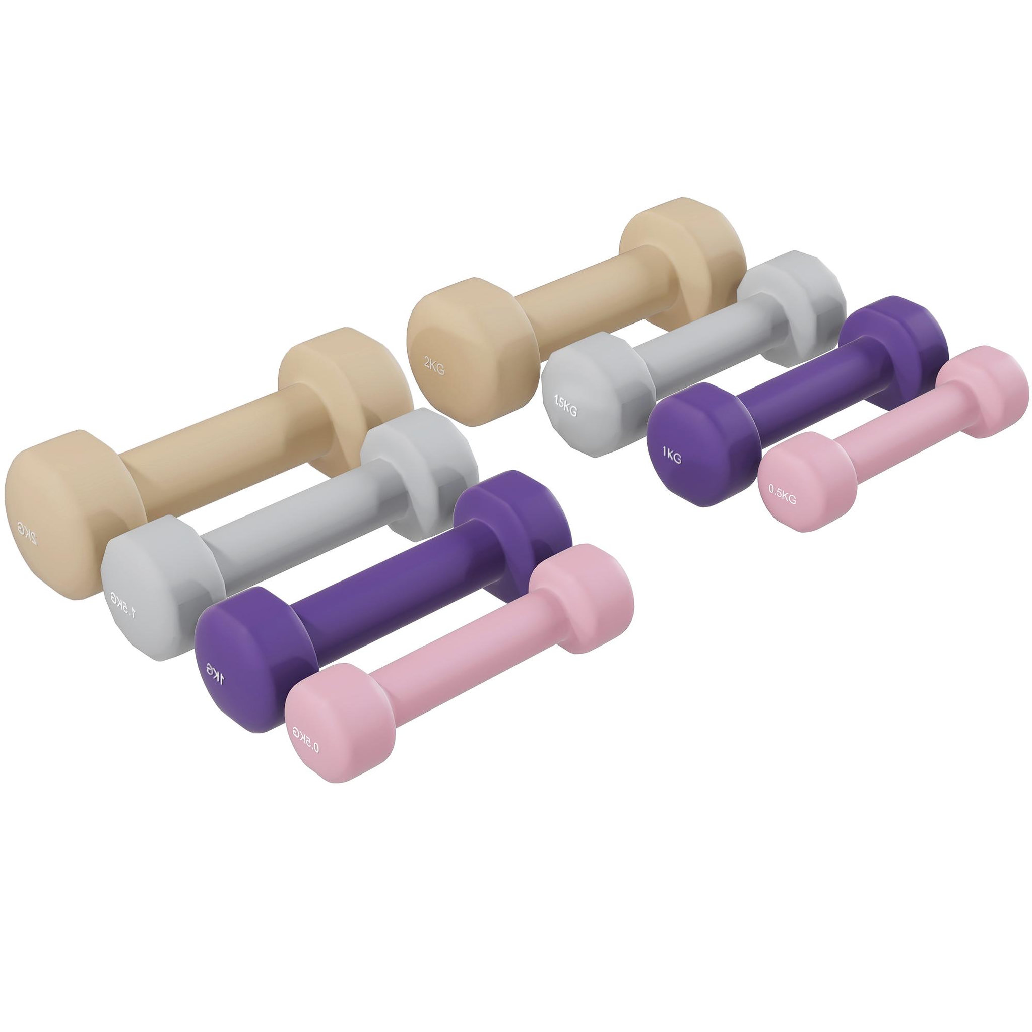 Voir la diapositive 5 : HOMCOM Ensemble d'haltères courtes total 10 kg - paires de 0,5/1/1,5/2 kg avec mallette - métal pu multicolore