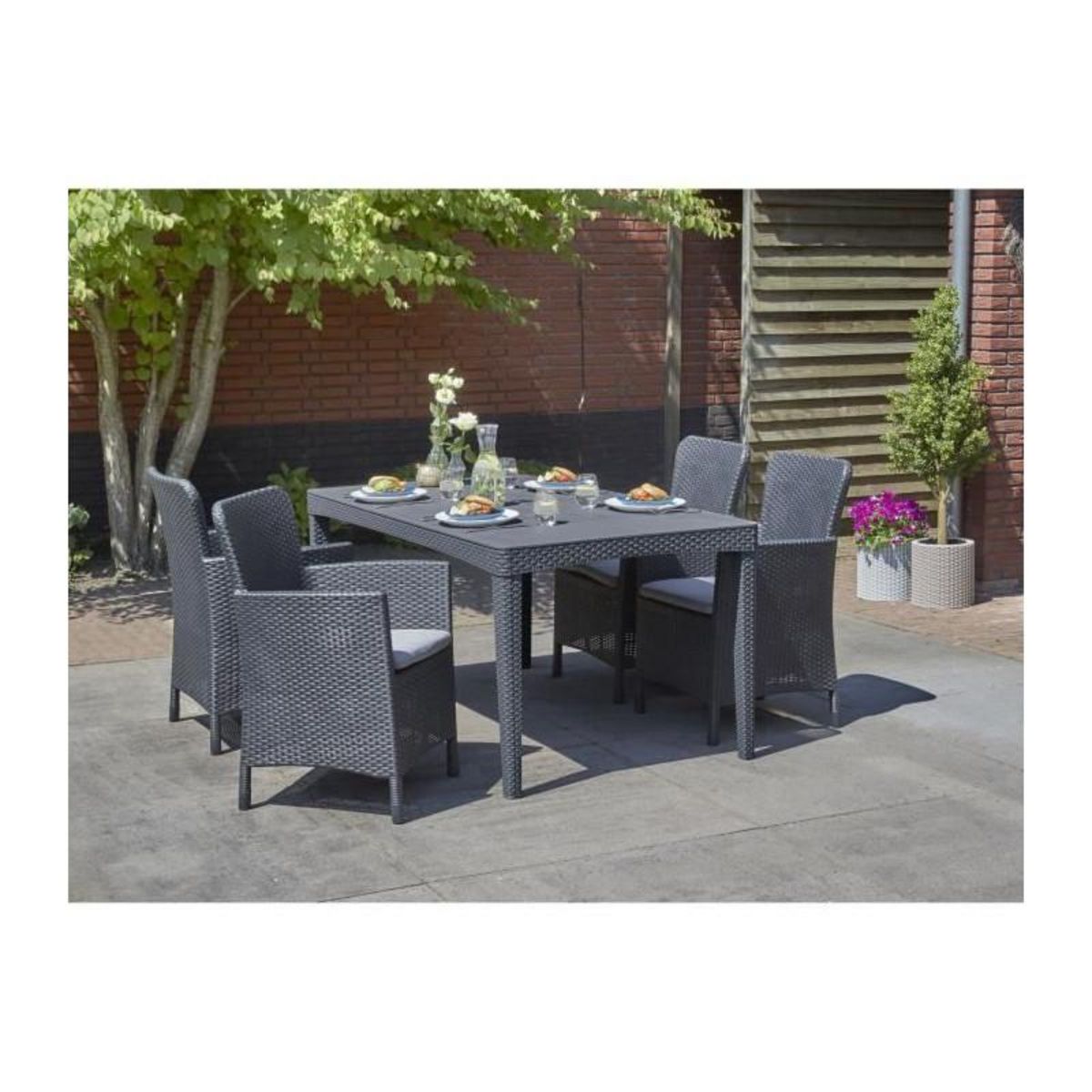 Keter Table de jardin plateau latte - Dimensions : 160x90x74 cm - structure imitation rotin tressée - ALLIBERT BY KETER - 6 personnes