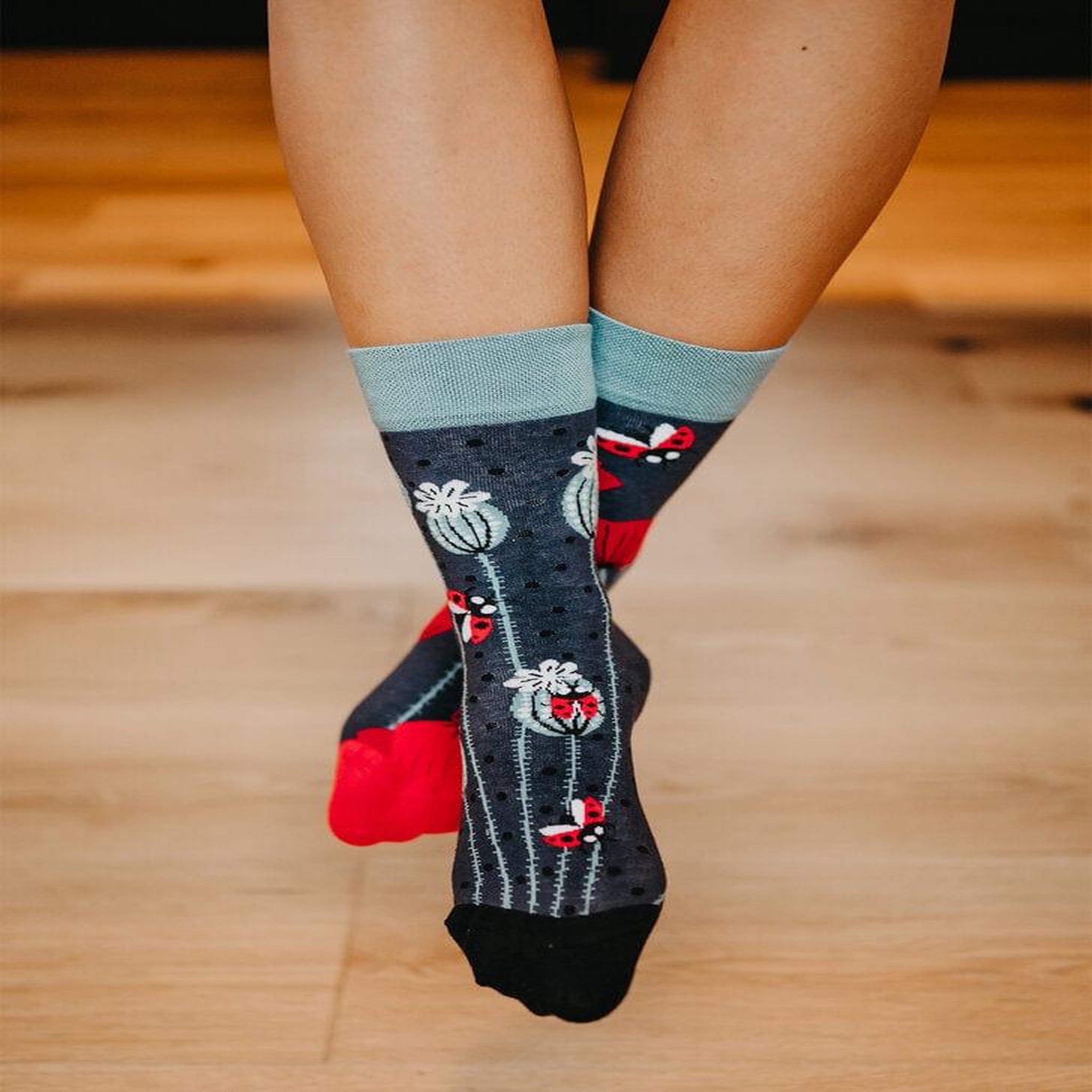 Voir la diapositive 4 : DEDOLES Chaussettes coccinelles et fleurs de pavot