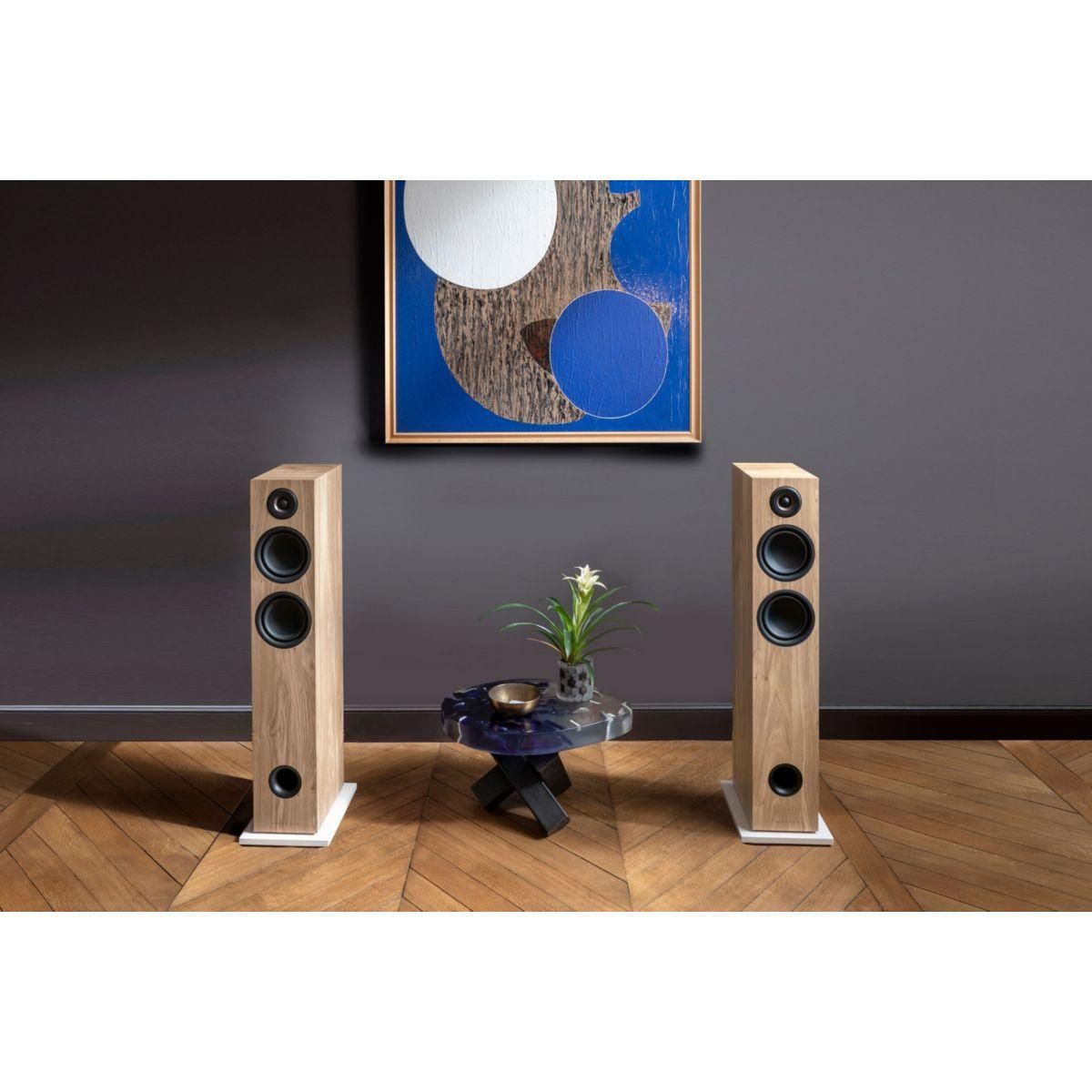 Triangle Enceinte colonne active ELARA LN05A Chene Clair x2