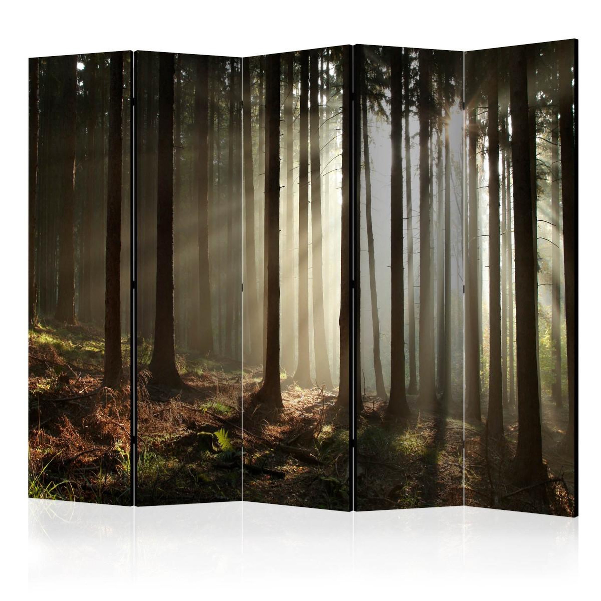Paris Prix Paravent 5 volets  coniferous forest ii  172x225cm