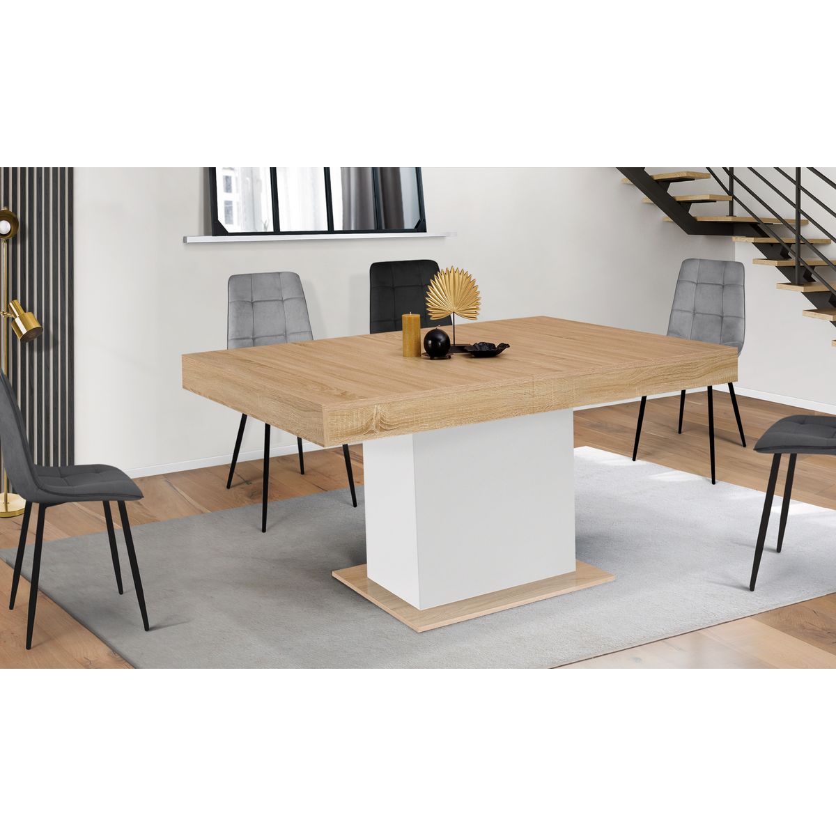 Table de séjour salle à manger extensible L160/200 cm TINA