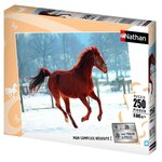 RAVENSBURGER Puzzles 250 pièces Nathan Collection