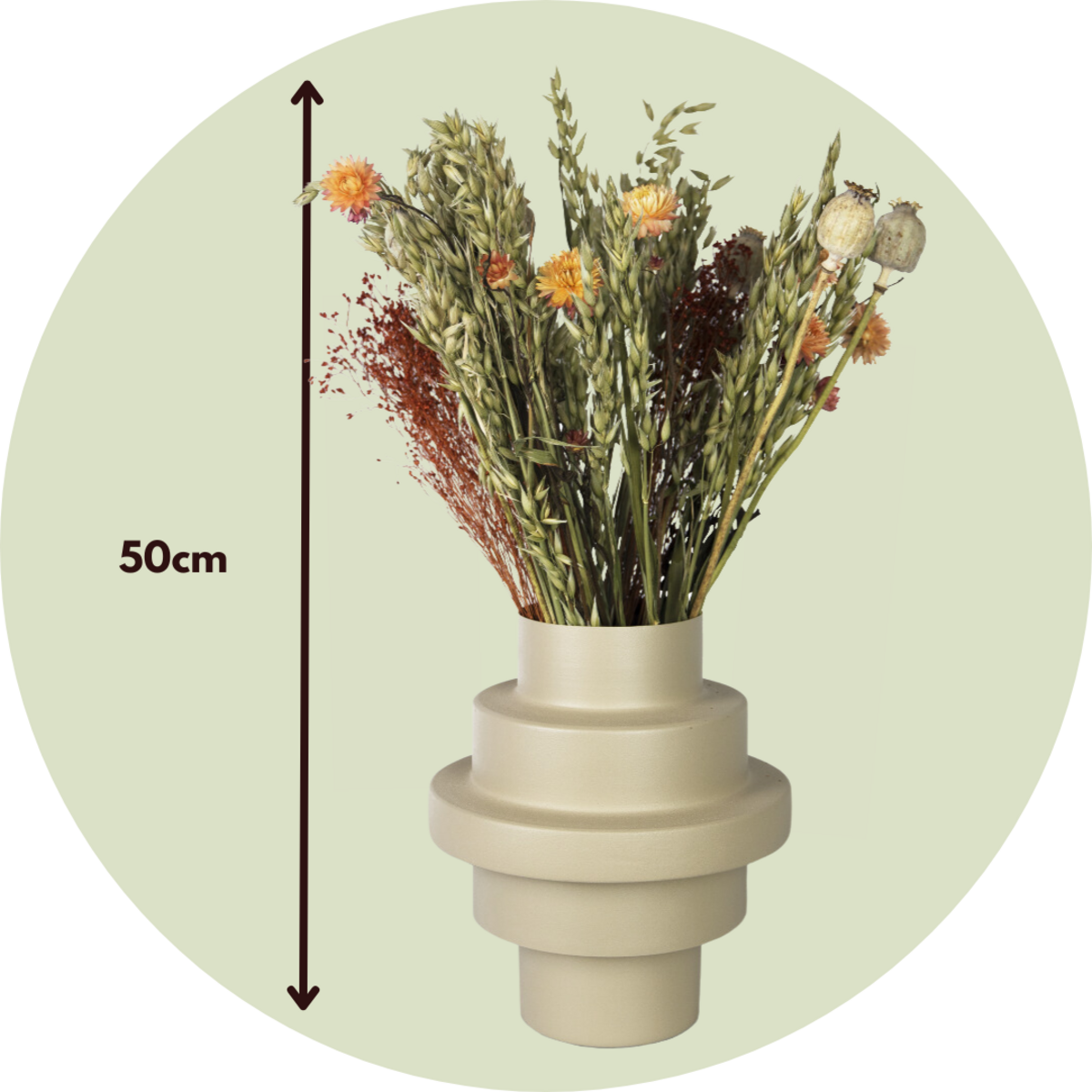 PLANT IN A BOX Fleurs séchées - Bouquet 'Loose Fit Marrakesh'