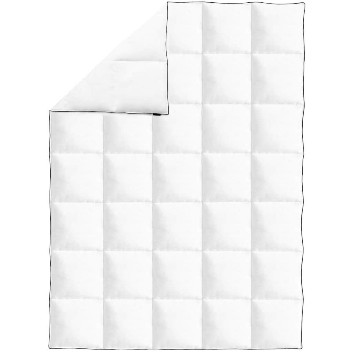 VIDAXL Couette en duvet d'hiver 150 x 200 cm