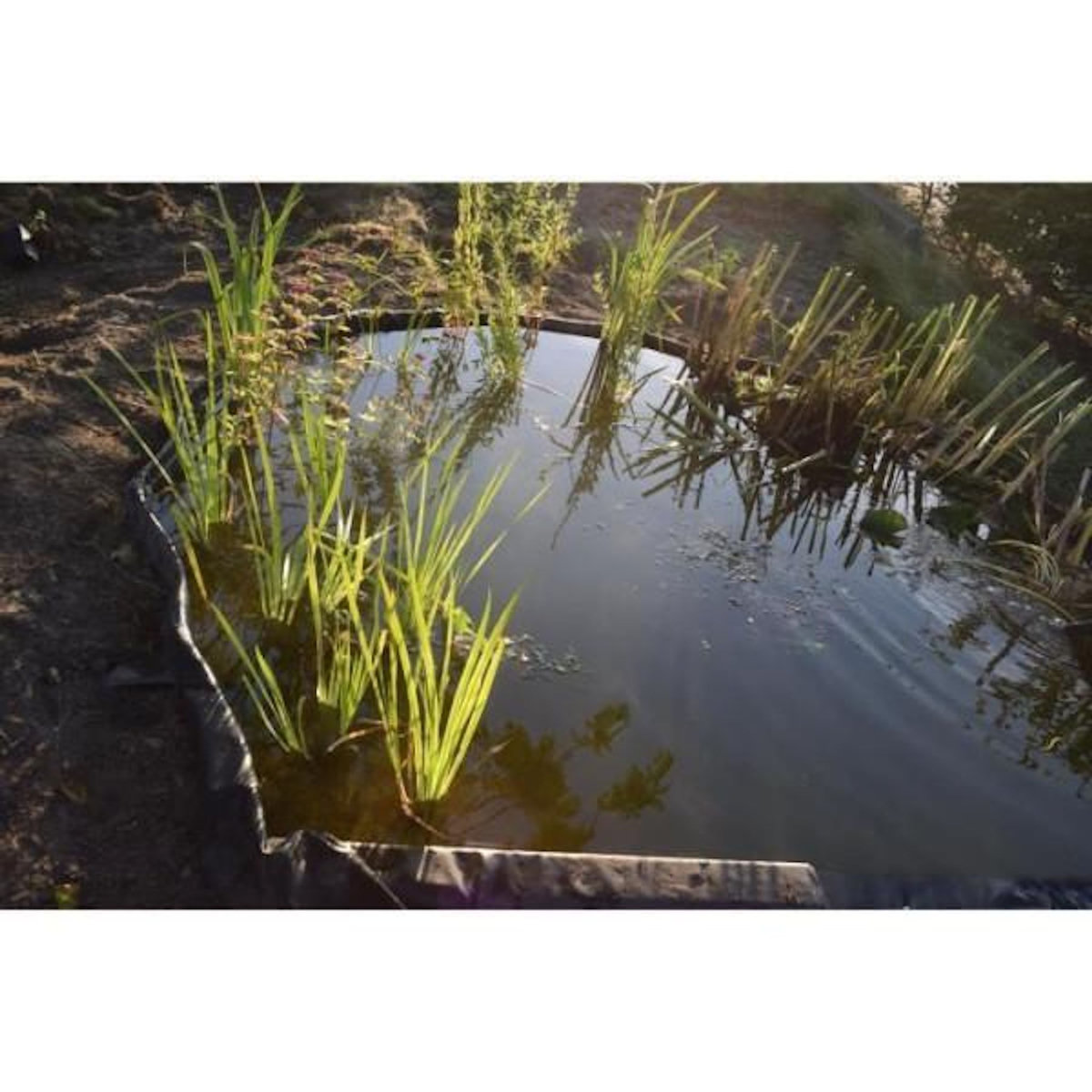 NATURE Bordure de jardin en PVC recyclé Borderfix - NATURE - Epaisseur 7 mm - H14 cm x 15 m