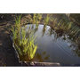 Voir la diapositive 2 : NATURE Bordure de jardin en PVC recyclé Borderfix - NATURE - Epaisseur 7 mm - H14 cm x 15 m