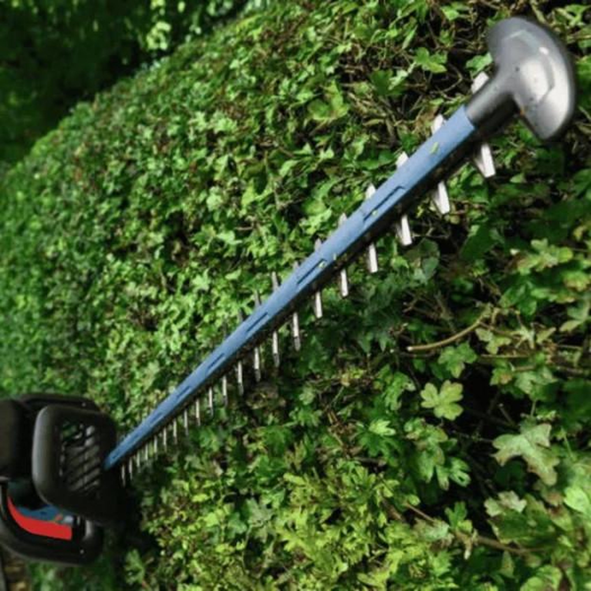 Voir la diapositive 2 : MARKET24 Taille-haie 18v 60cm (solo) ghe 18v-60 (ii) - bosch 06008c9400