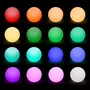  Boule lumineuse LED 16 couleurs, étanche avec télécommande