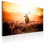 Paris Prix Tableau Imprimé  Deer in the Sun. Coloris disponibles : Multicolore