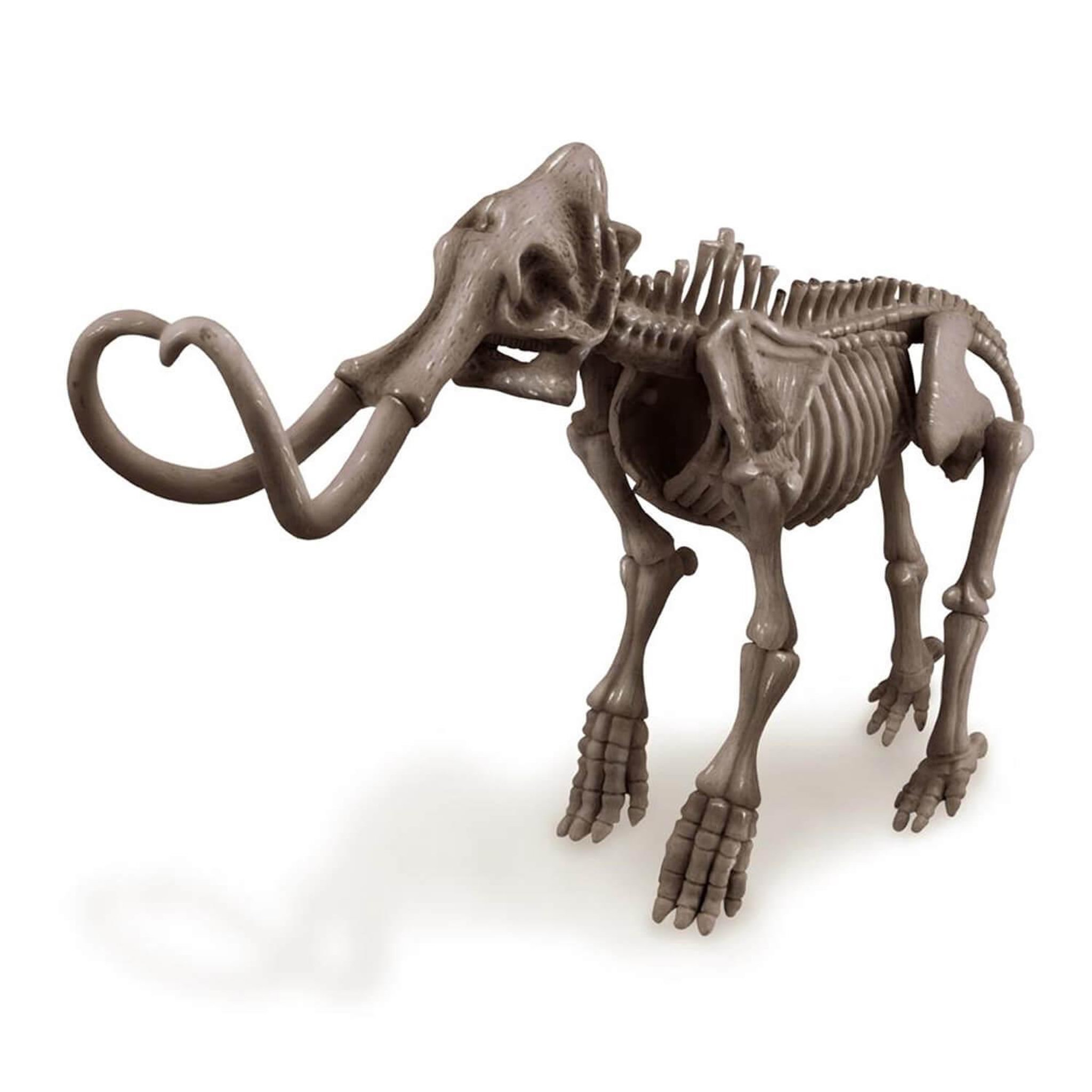 Voir la diapositive 2 : 4M - Kidz Labs Mammouth Déterre ton Dinosaure Dig a dino