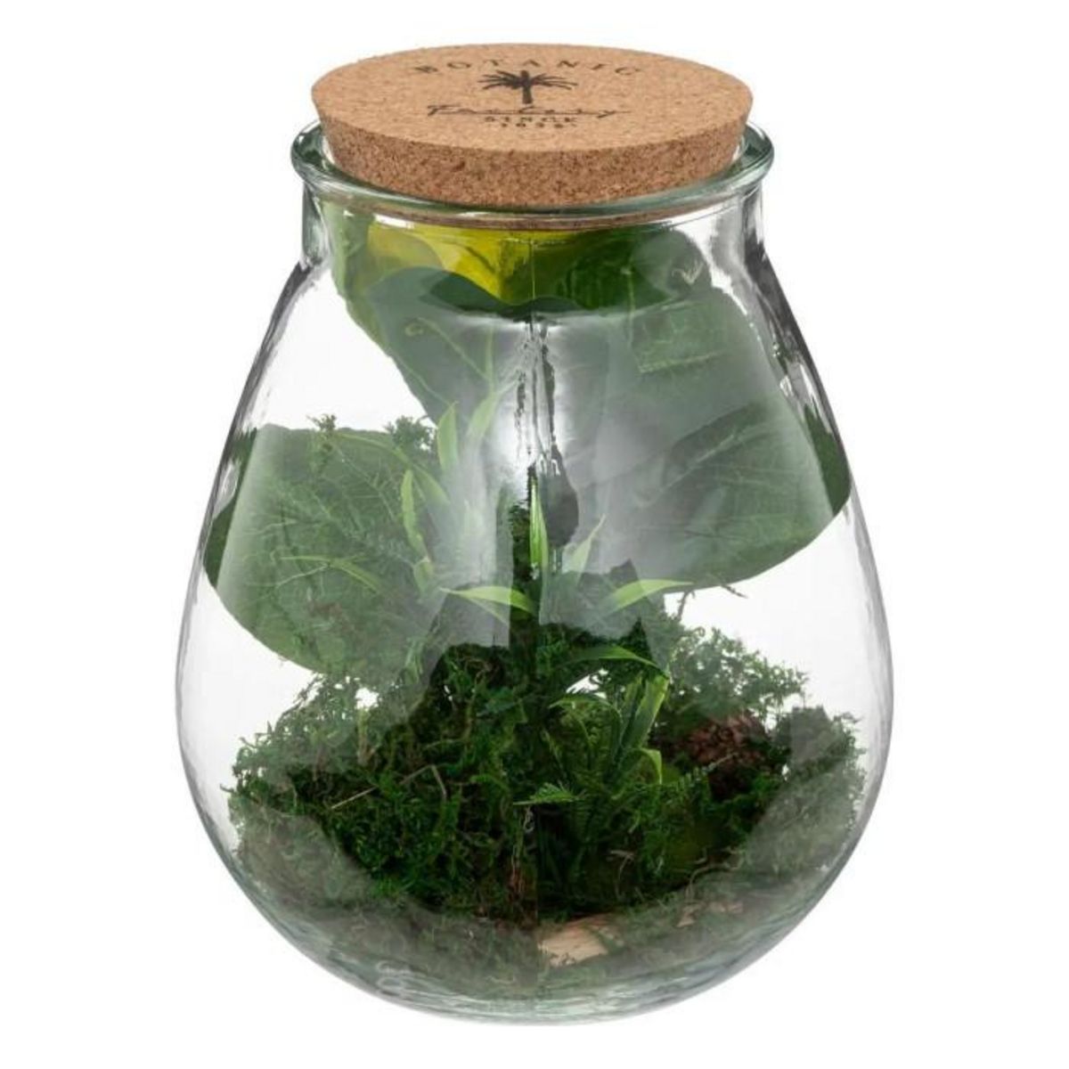 ATMOSPHERA Terrarium en Verre  Bota  29cm Transparent & Vert