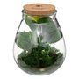 Voir la diapositive 1 : ATMOSPHERA Terrarium en Verre  Bota  29cm Transparent & Vert