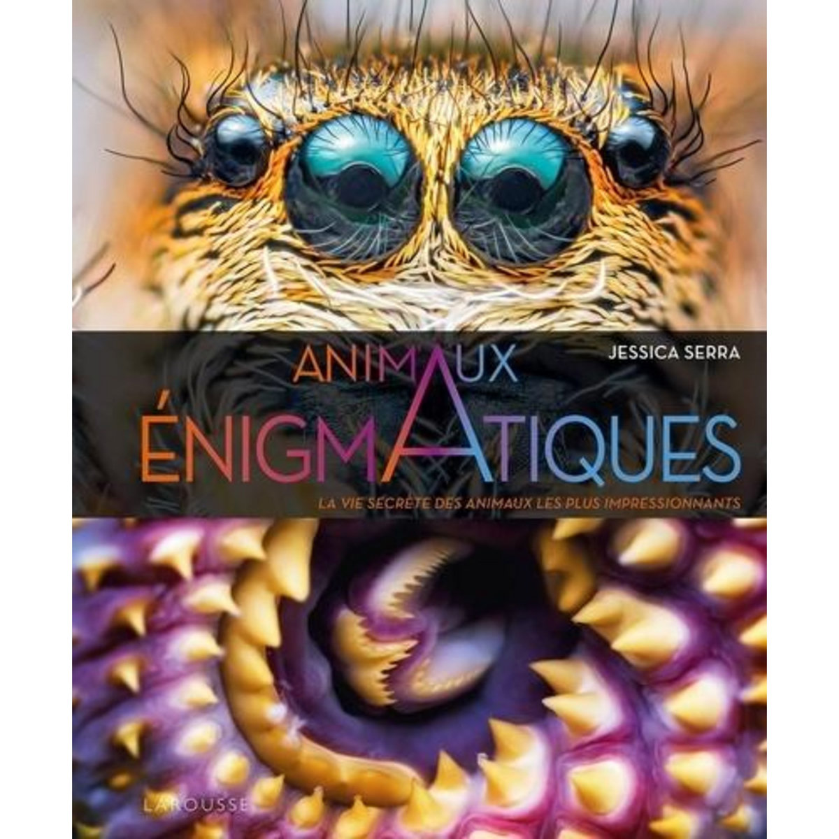 ANIMAUX ENIGMATIQUES. LA VIE SECRETE DES ANIMAUX LES PLUS IMPRESSIONNANTS, Serra Jessica