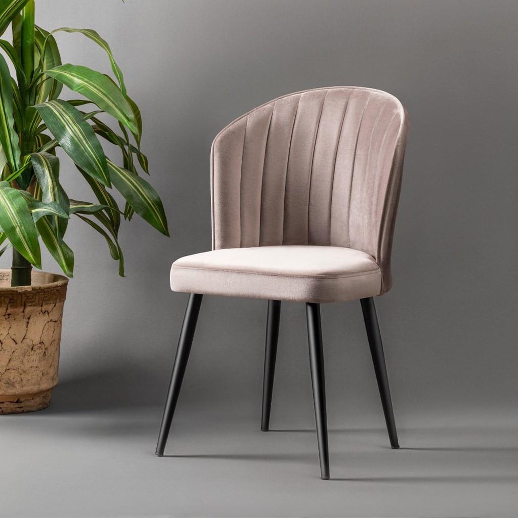 Voir la diapositive 2 : Habitat et Jardin Ensemble de chaises (2 pièces) en bois  rubi  - 52 x 42 x 85 cm - cappuccino