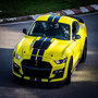Voir la diapositive 2 : Smartbox Stage de pilotage multivolant : 2 tours en Corvette, 2 tours en Lamborghini Gallardo LP560 et 2 tours en Mustang sur le circuit de Magny-Cours - Coffret Cadeau Sport & Aventure