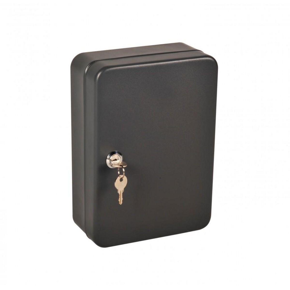 CENTRALE BRICO Armoire à clés 44 crochets à clés, l.18 x H.25 x P.8 cm