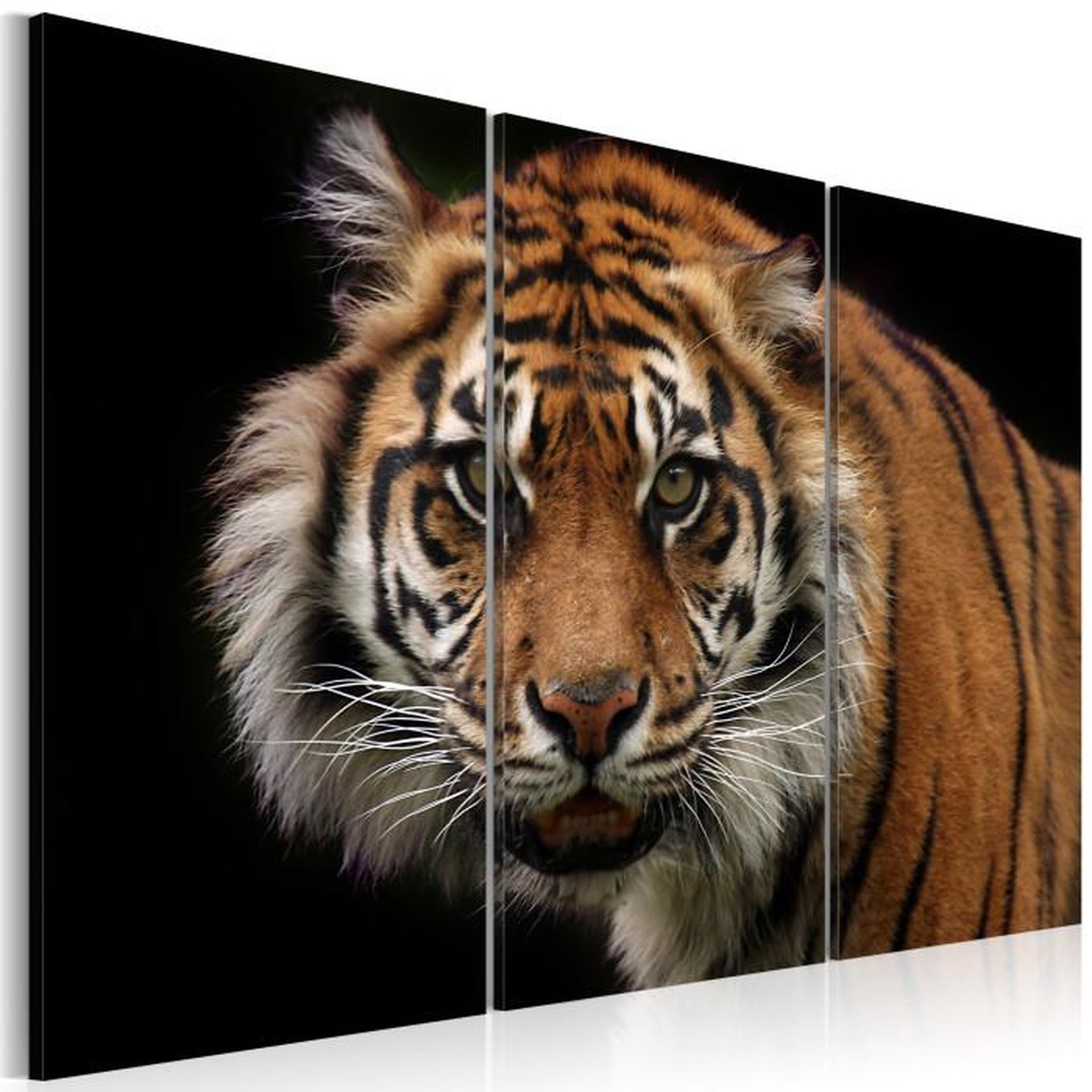 Paris Prix Tableau Imprimé  Tigre Prédateur. Coloris disponibles : Multicolore