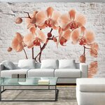 Paris Prix Papier Peint  The Orange Arc. Coloris disponibles : Multicolore