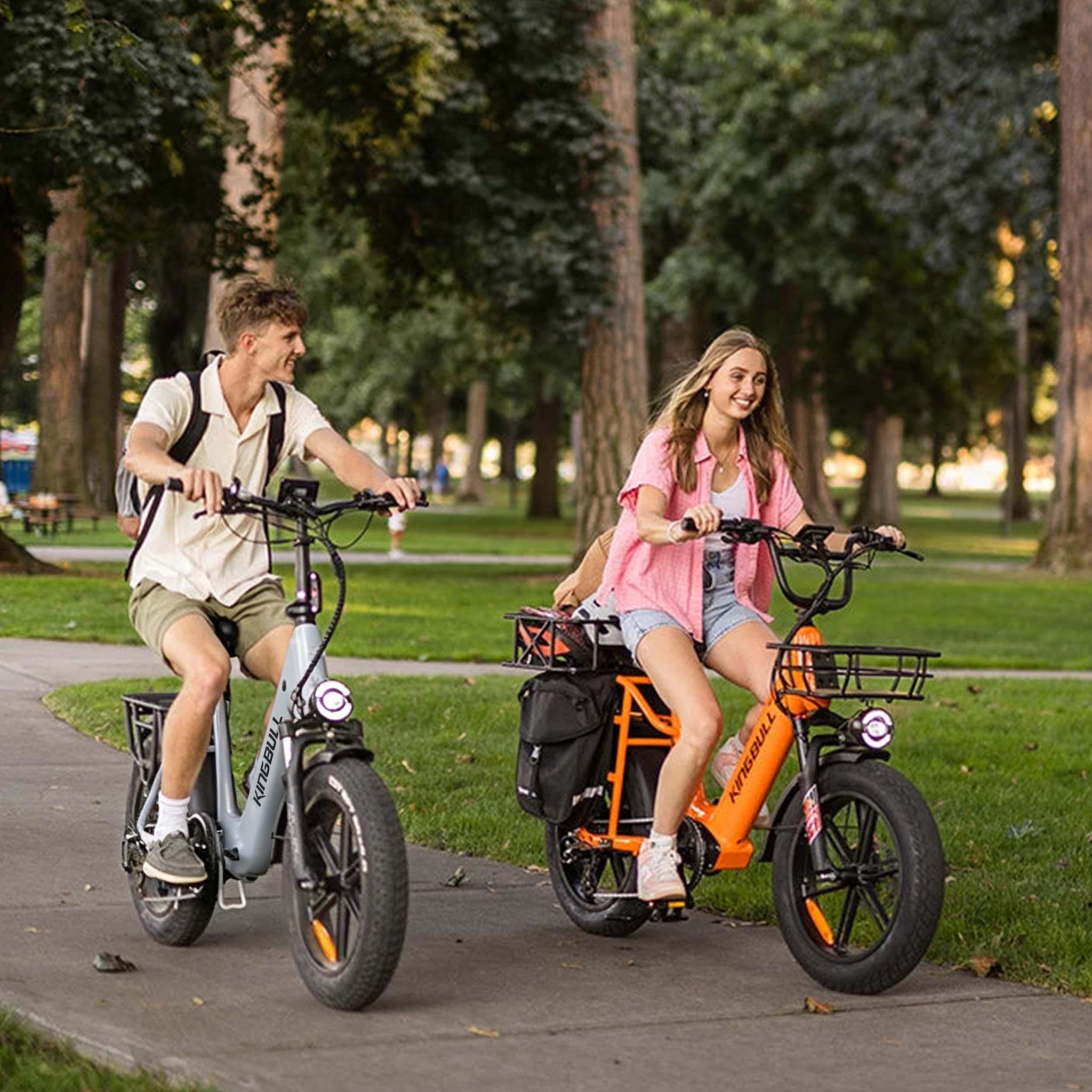 Voir la diapositive 3 : KINGBULL Vélo cargo électrique kingbull voyager 2.0