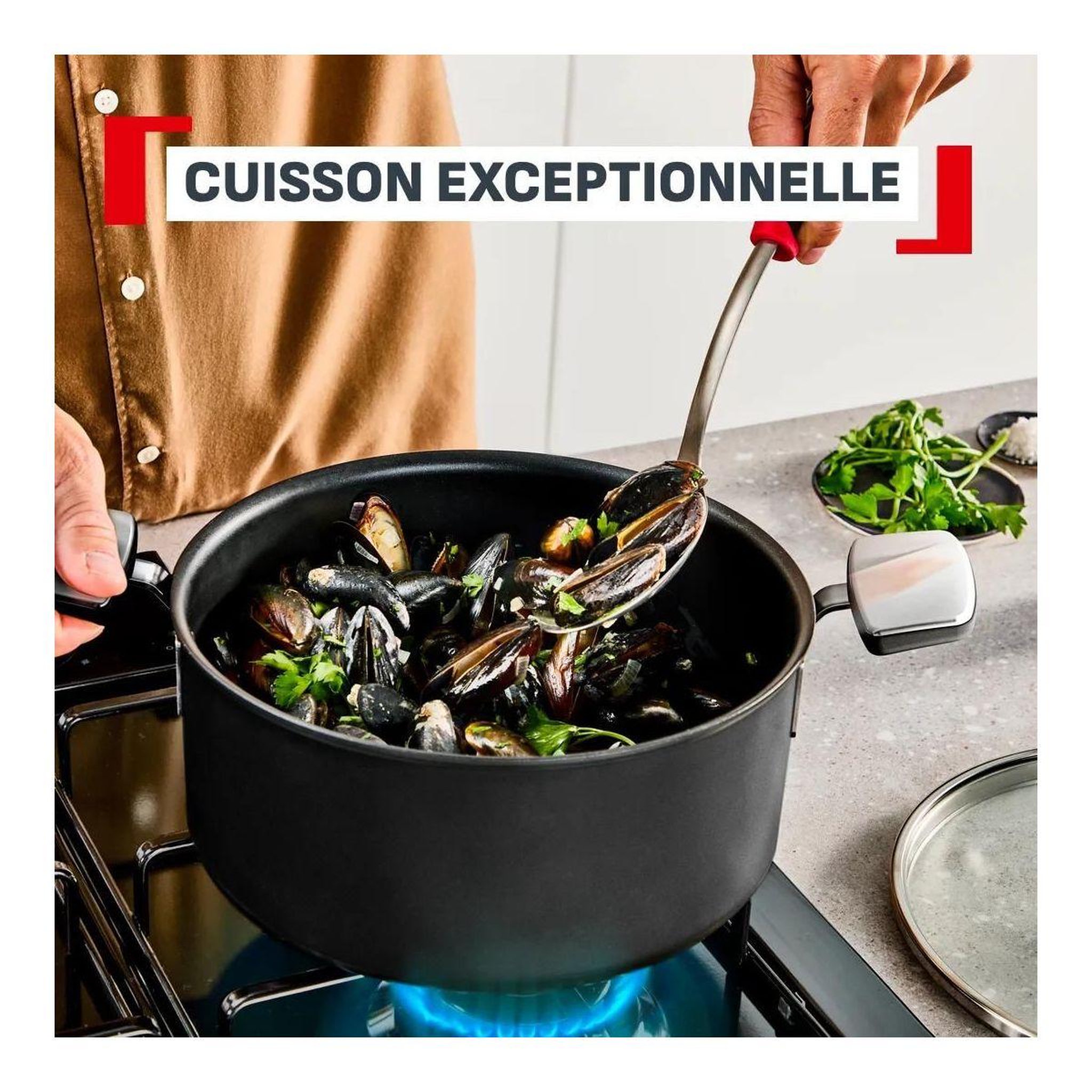 Voir la diapositive 5 : TEFAL Casserole 20 cm excellence +