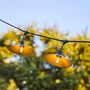 Voir la diapositive 4 : Lumisky Guirlande lumineuse VINTY Noir Acier 6M