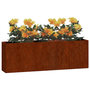 Voir la diapositive 3 : VIDAXL Jardinieres murales 2 pcs Rouille Acier corten 53x10x17 cm