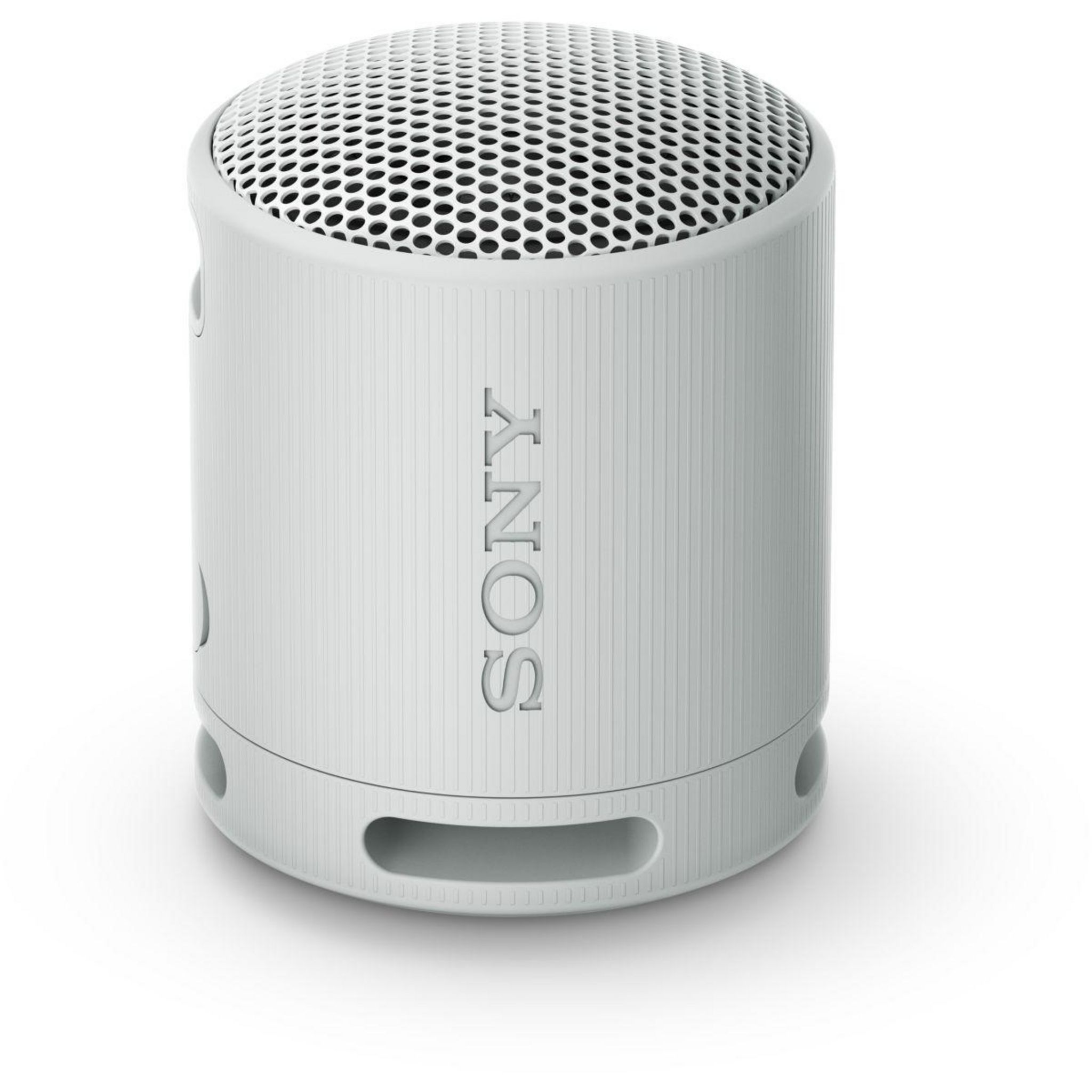 SONY Enceinte portable SRS-XB100 Gris Perle