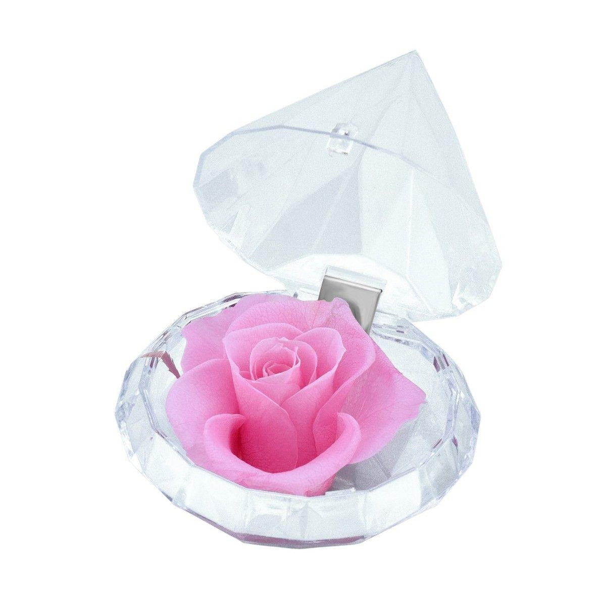 SC CRYSTAL Ecrin décoré d'une rose éternelle - stabilisée rose
