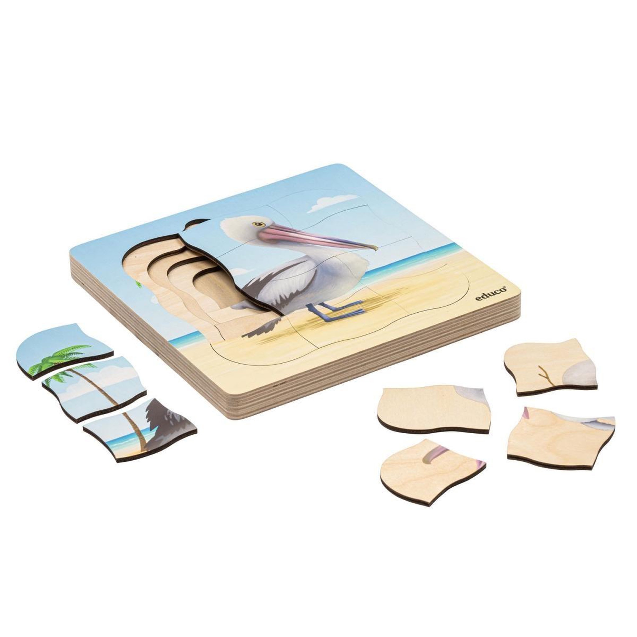 EDUCO Sur la plage - le pélican pousse — 31 pièces de puzzle