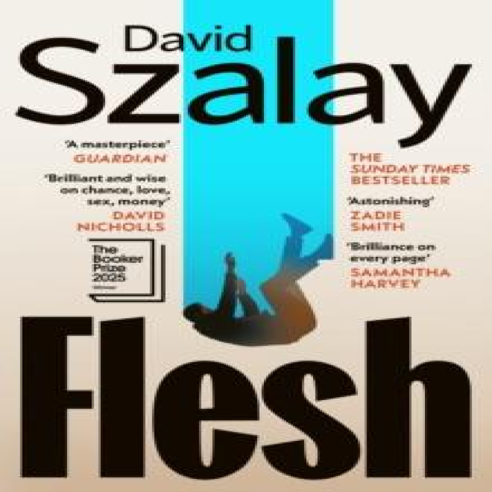 LIVRES Flesh - David Szalay