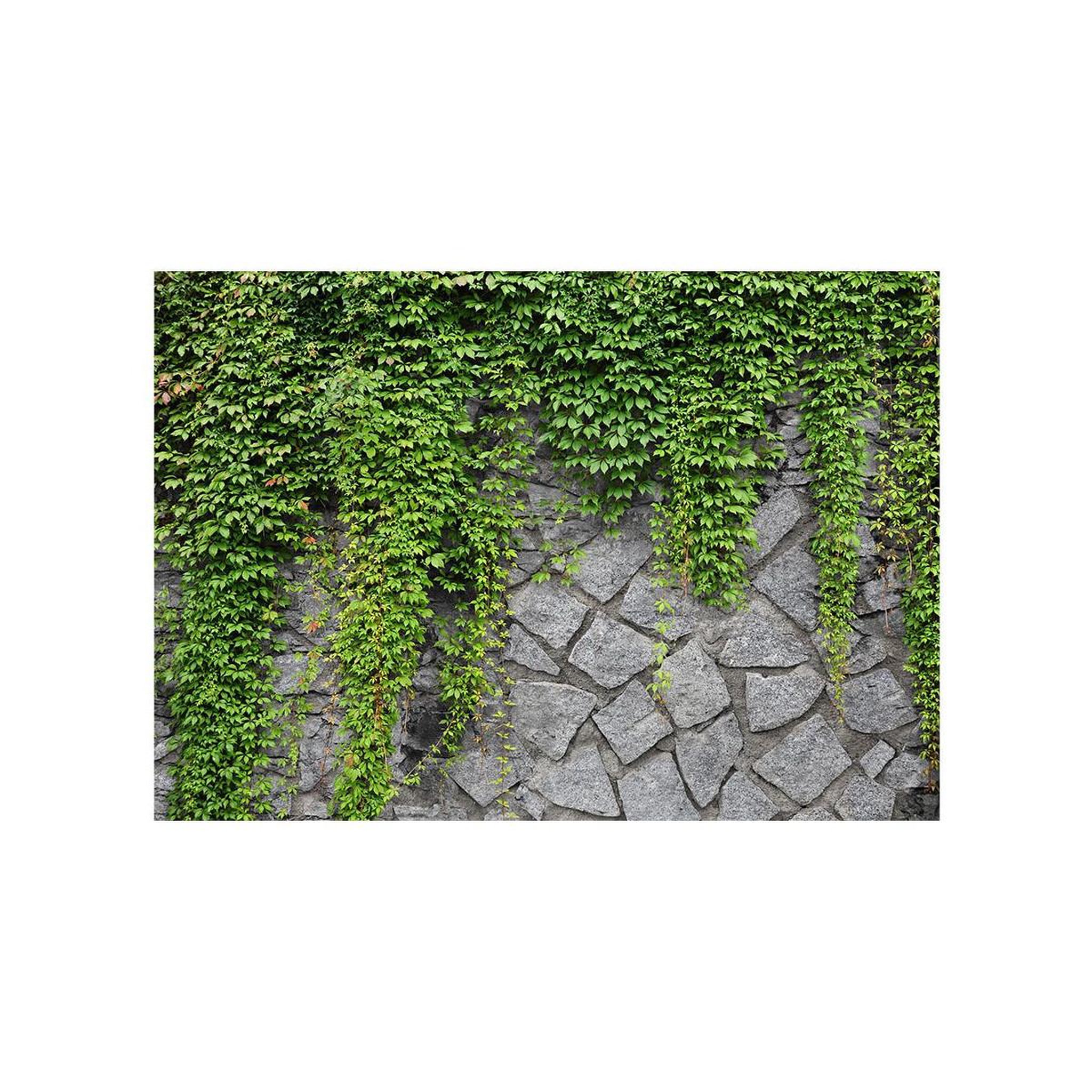 Voir la diapositive 2 : Paris Prix Papier peint  mur vert