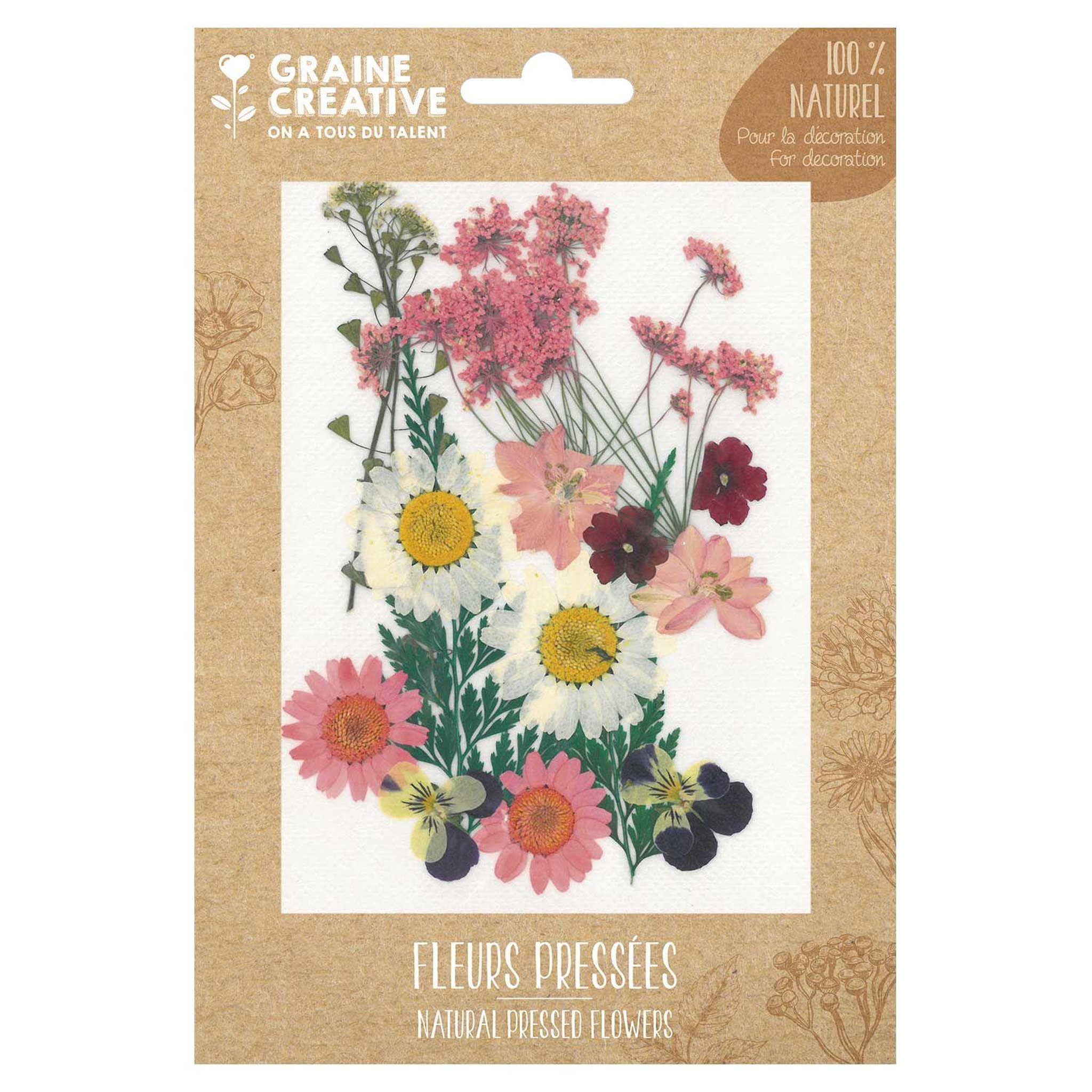 Graine créative 16 fleurs pressées - prairie rose
