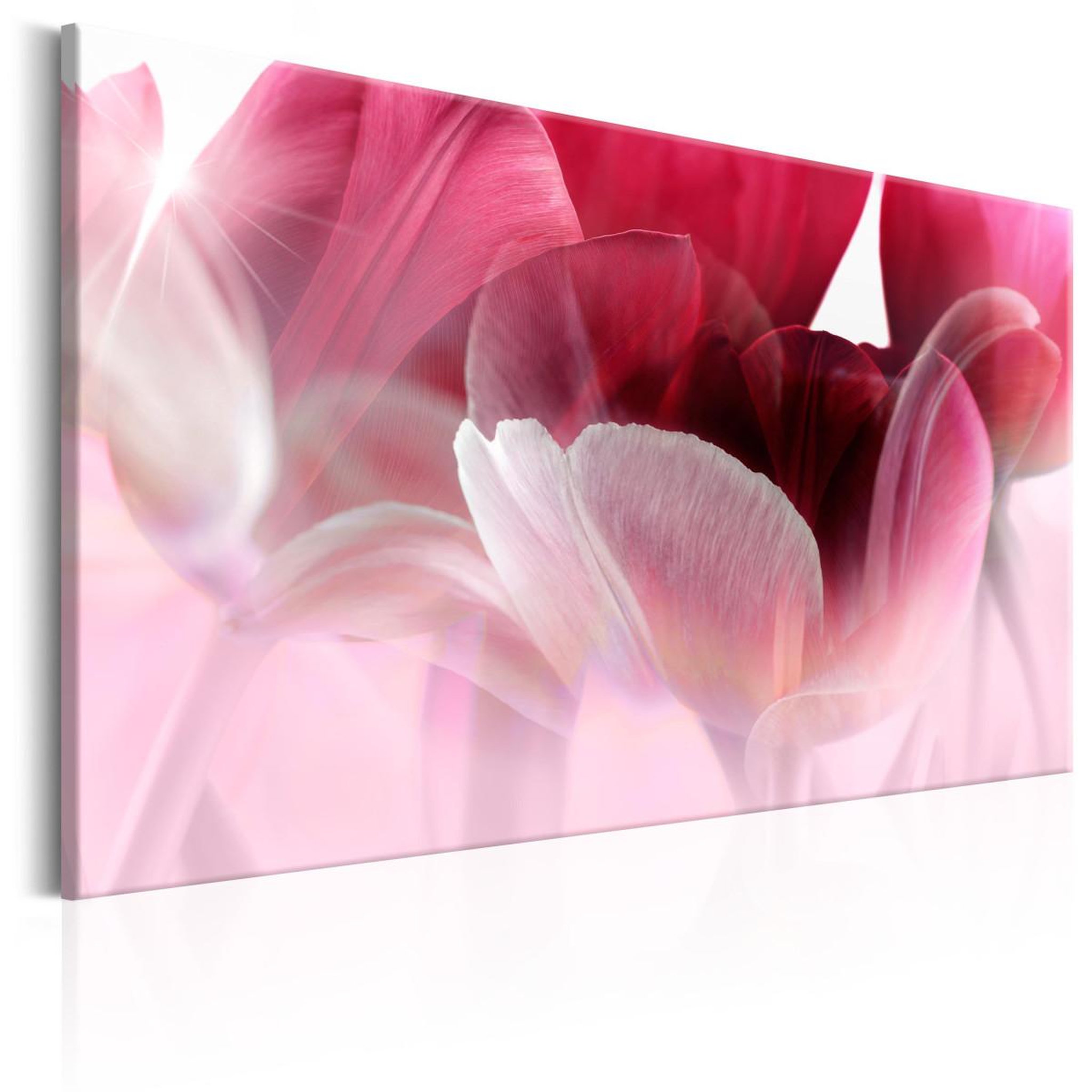 Paris Prix Tableau imprimé  nature : pink tulips. Coloris disponibles : Multicolore