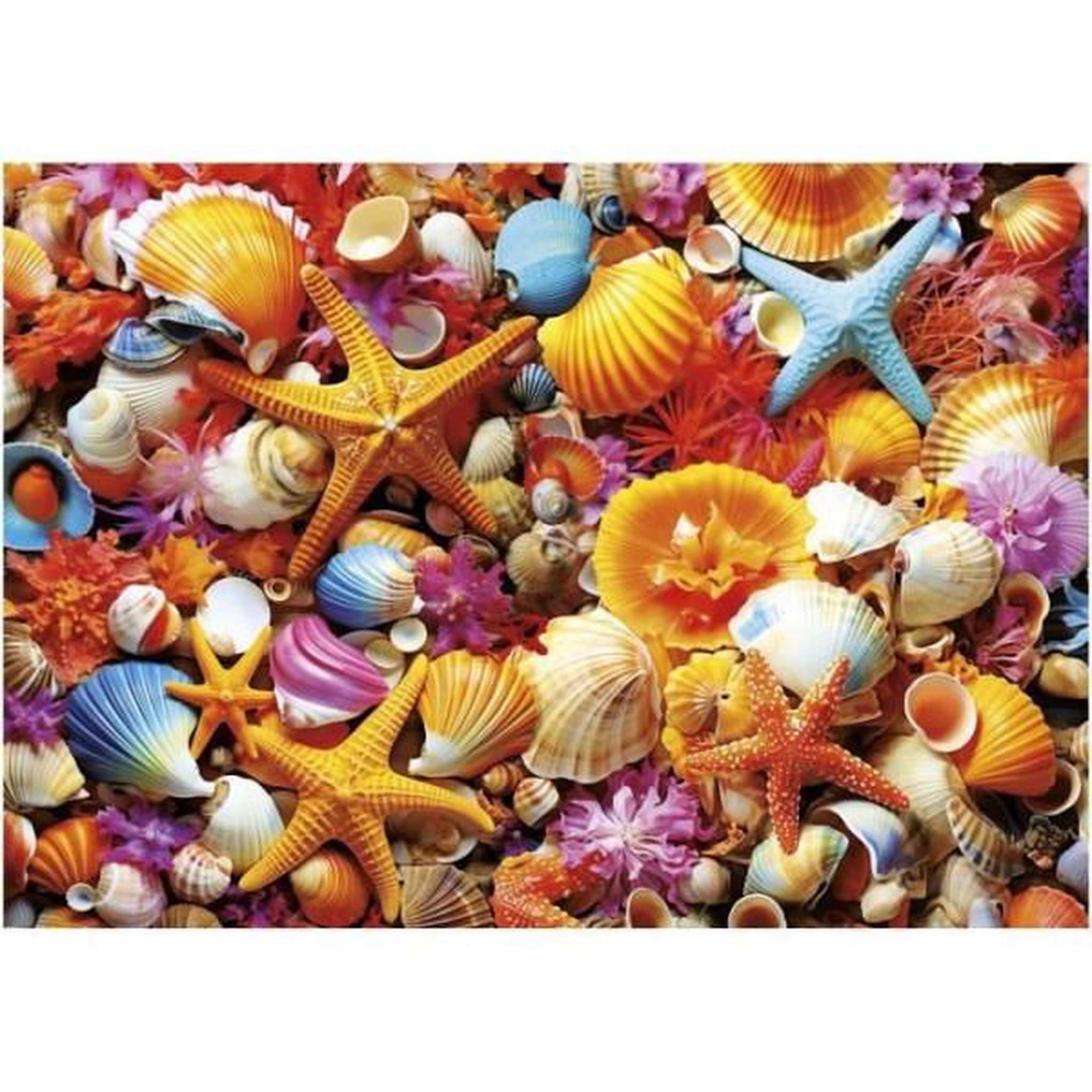 Voir la diapositive 2 : EDUCA Puzzle - EDUCA - Collage de Coquillages - 1000 pieces - 68x48 cm - a partir de 12 ans