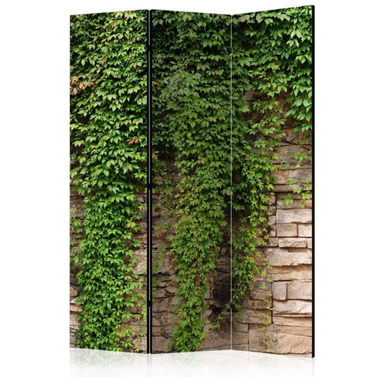 Paris Prix Paravent 3 Volets  Ivy Wall  135x172cm