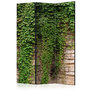 Voir la diapositive 1 : Paris Prix Paravent 3 Volets  Ivy Wall  135x172cm