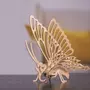 Graine créative Maquette papillon 3D en carton à monter soi-même
