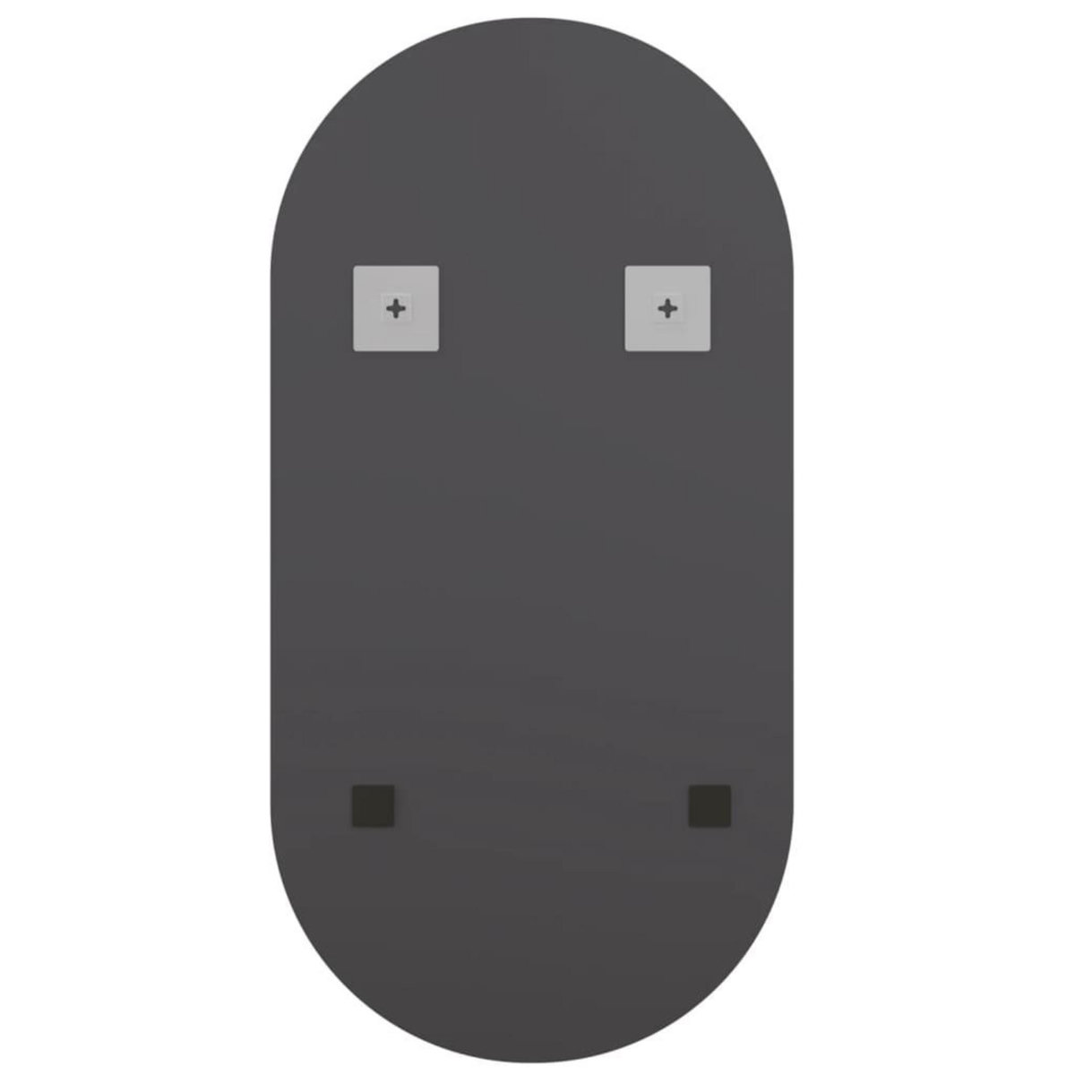 VIDAXL Miroir 40x20 cm Verre