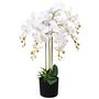 Voir la diapositive 1 : VIDAXL Plante artificielle avec pot Orchidee 75 cm Blanc